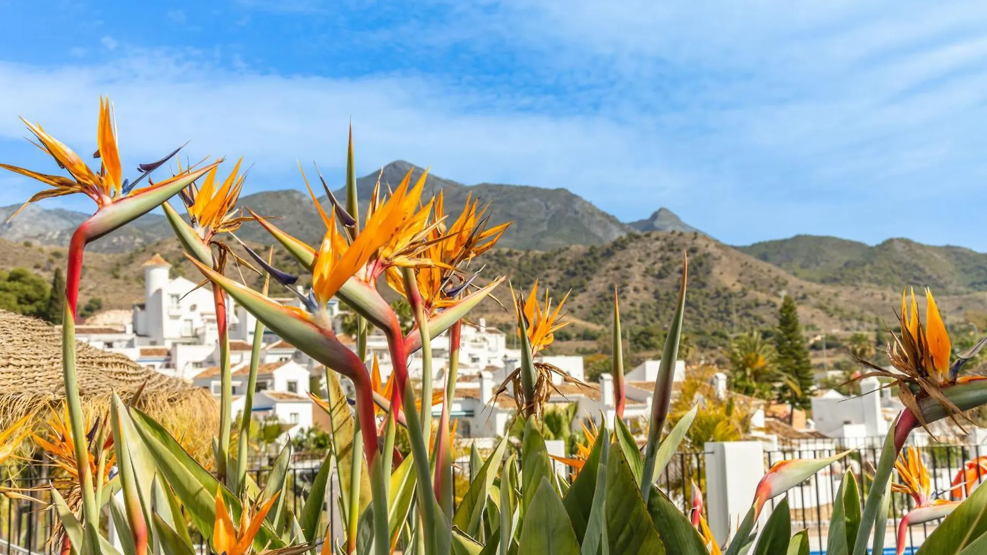 Casablanca 50 Oasis Properties Nerja 0*,  Spain