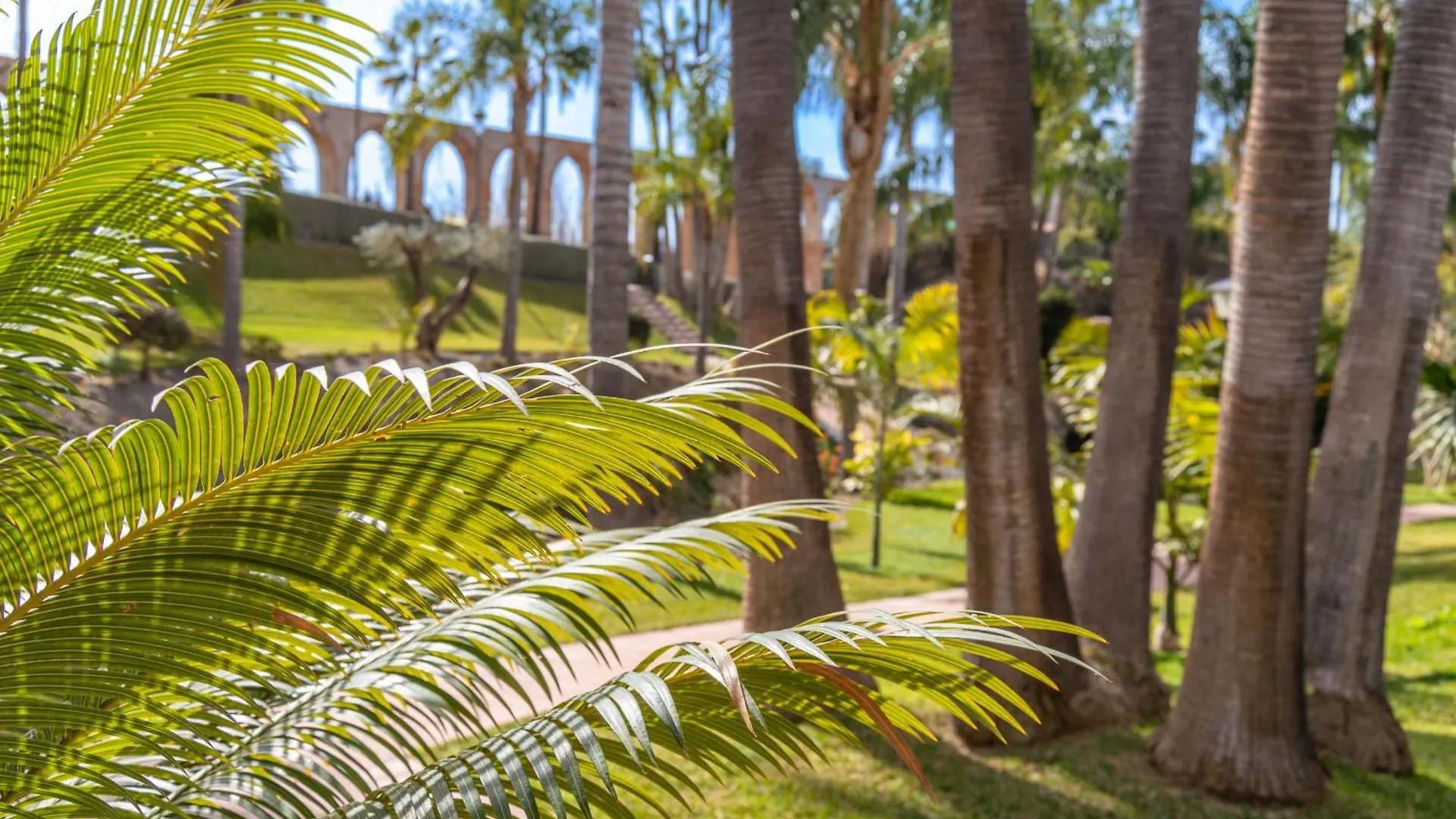 Casablanca 50 Oasis Properties Nerja